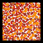 Lorna Fencer - click to see more