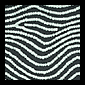 Warlimpirrnga Tjapaltjarri